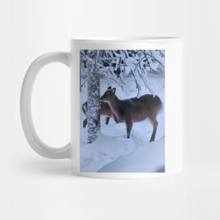 Lapland Mug